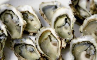 Top 10 des meilleurs produits d’Aquitaine