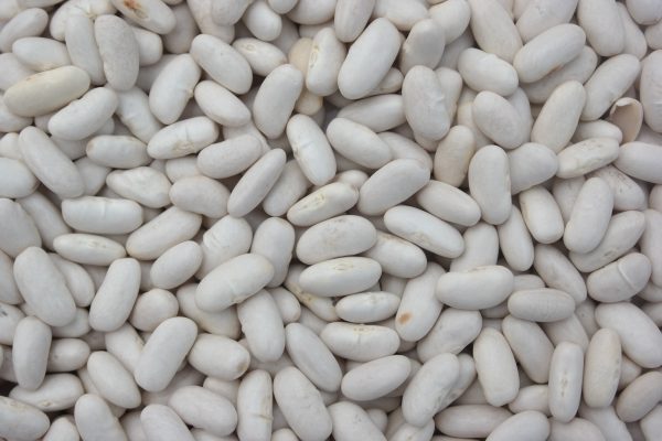 Spécialités gastronomiques de Vendée Mogette